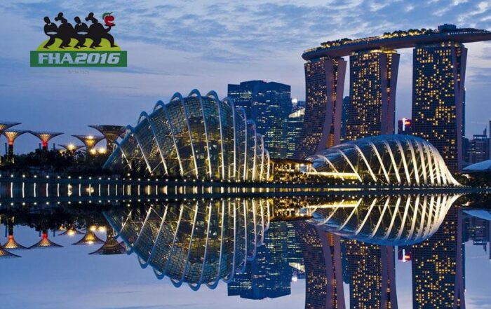 Blog | Alfa Forni Professional