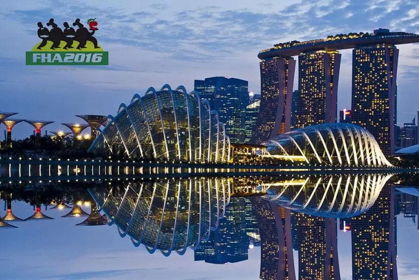 Thank you Singapore, see you in 2018 ! | Alfa Forni Professional